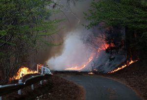 Više od 1.000 vatrogasaca gasi požar u Japanu, hiljade ljudi napustile domove (FOTO)